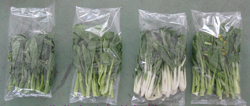 Vegetable Pillow type Packing Machine