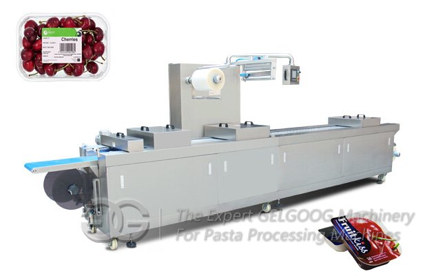 Stretch Film Vacuum Packing Machine Fully Automatic 