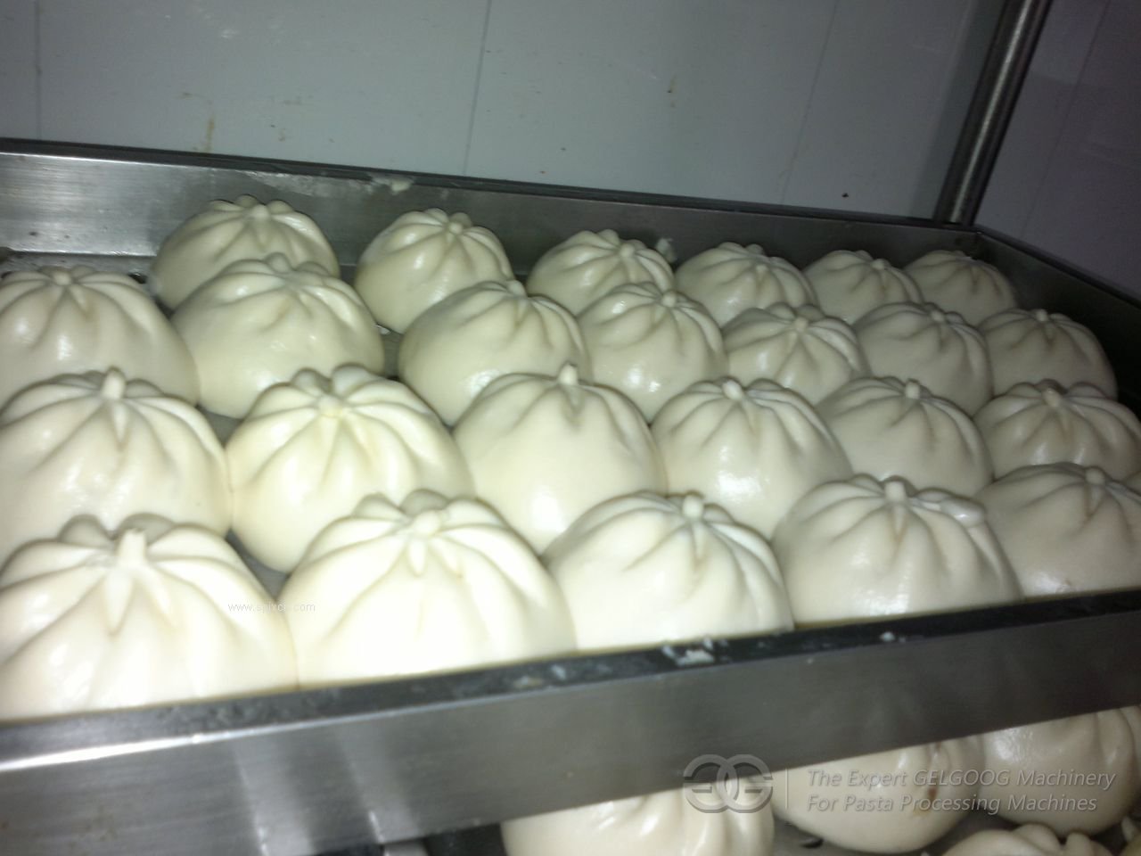 steamed stuffed bun