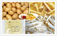 Three Facts About French Fries