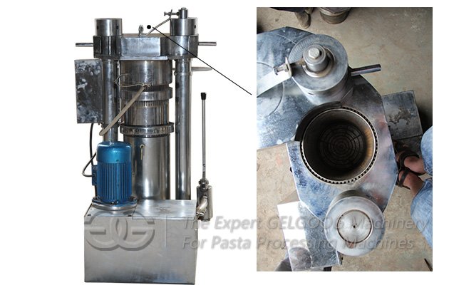 Oil Press Machine